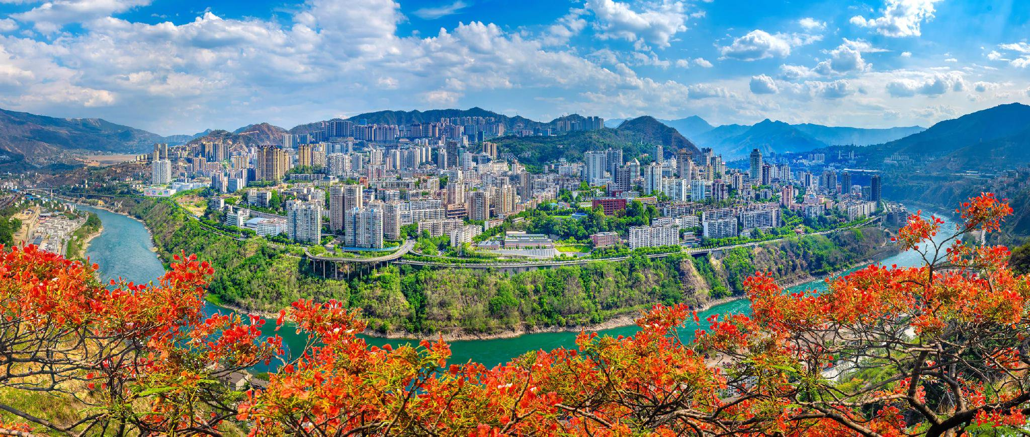 在这里插入图片描述