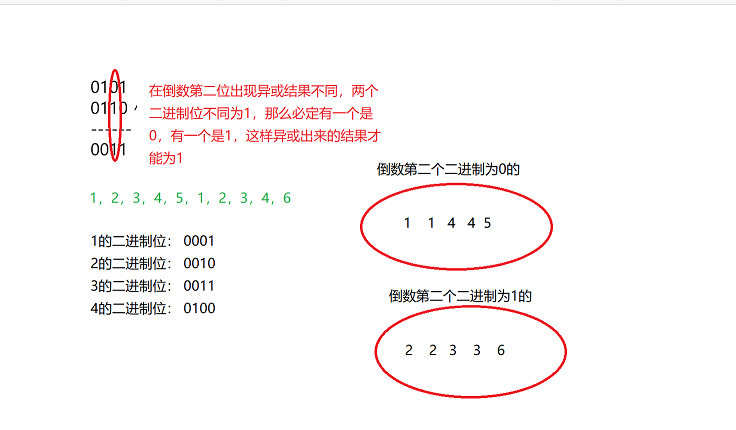 C语言题目之单身狗2