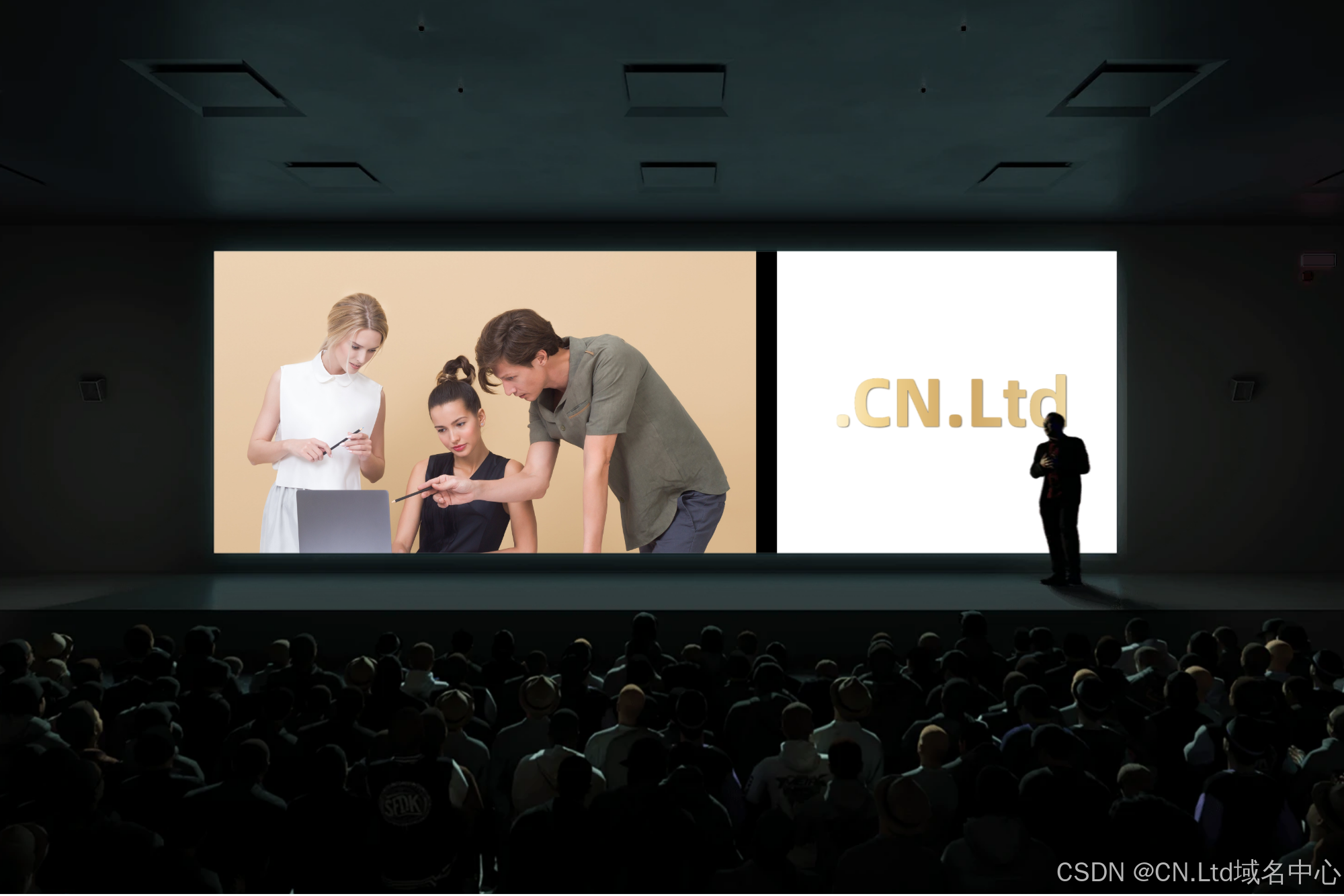 注册CN.Ltd域名的步骤与注意事项-CSDN博客