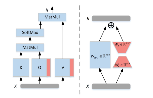 Illustration of introducing LoRA.