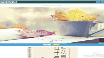 文章图片