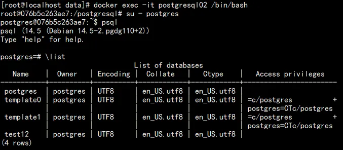 Docker 部署PostgreSQL 主从架构(实现数据同步的高效部署)_docker安装postgresql主从-CSDN博客