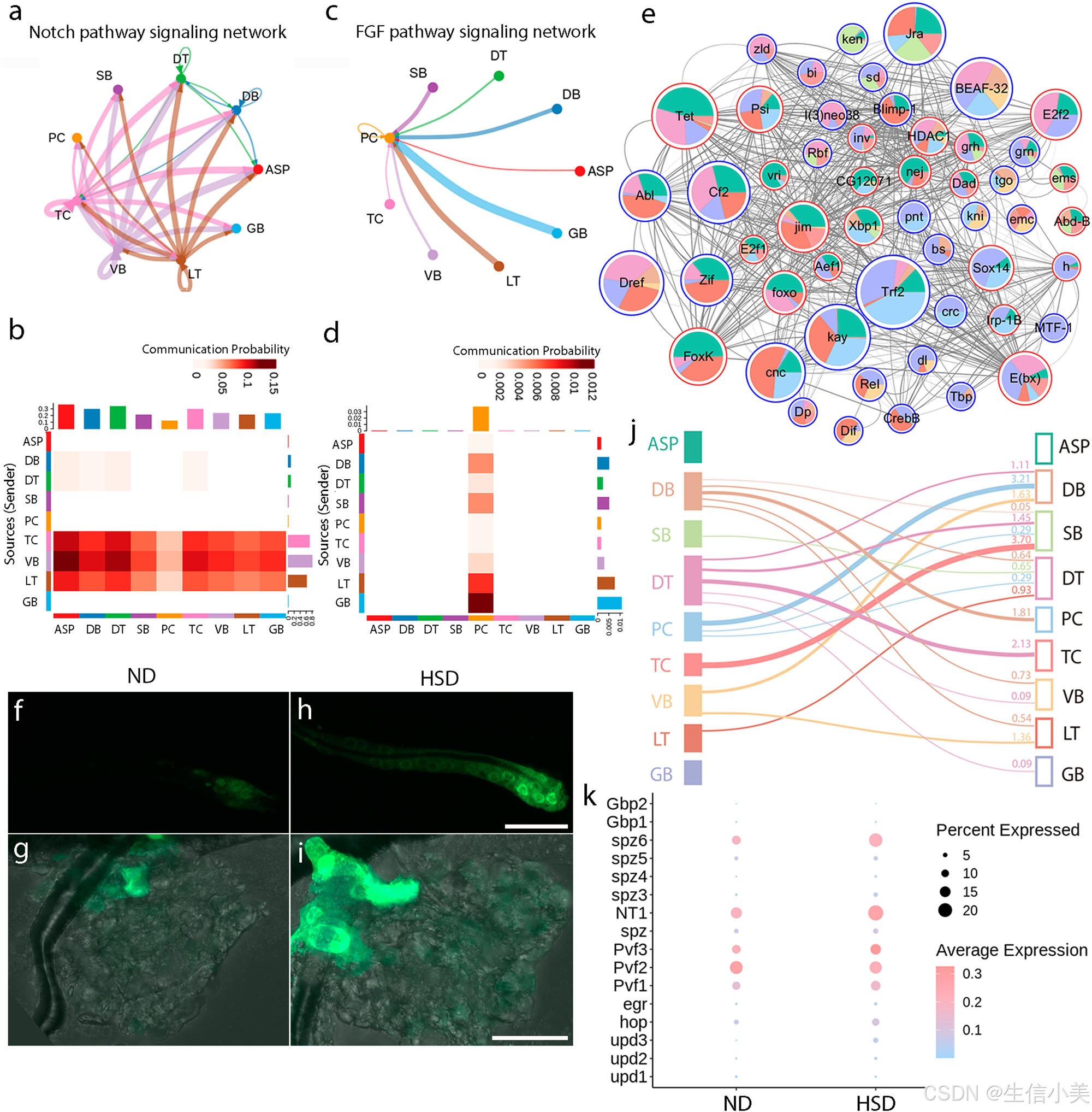A single-cell atlas of Drosophila trachea reveals glycosylation ...