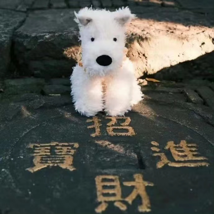 文章图片