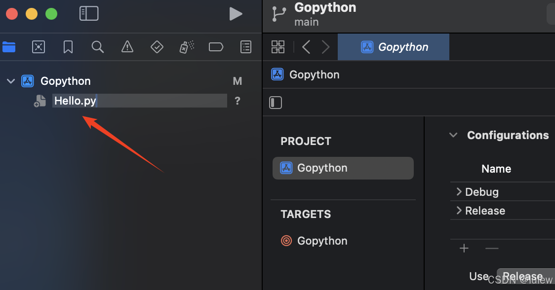 Xcode16.2搭建python3.13（成功一遍过）_xcode python-CSDN博客