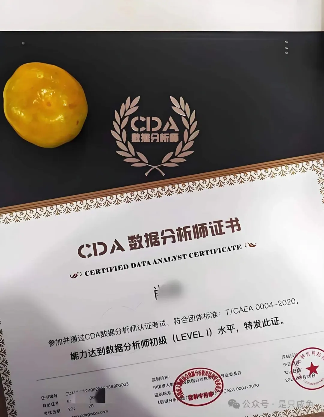 CDA.jpg