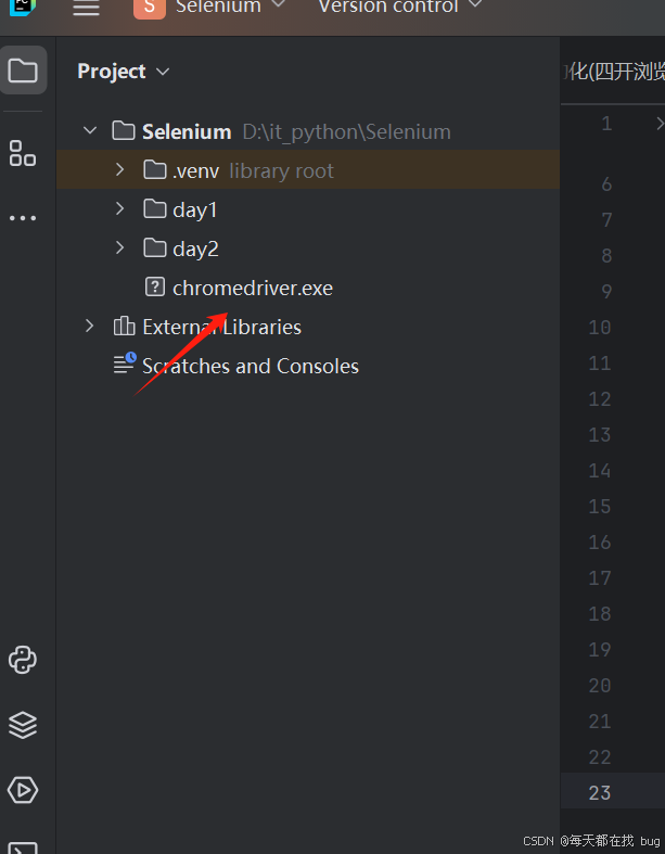 Python第三方库Selenium基础操作_python下载selenium