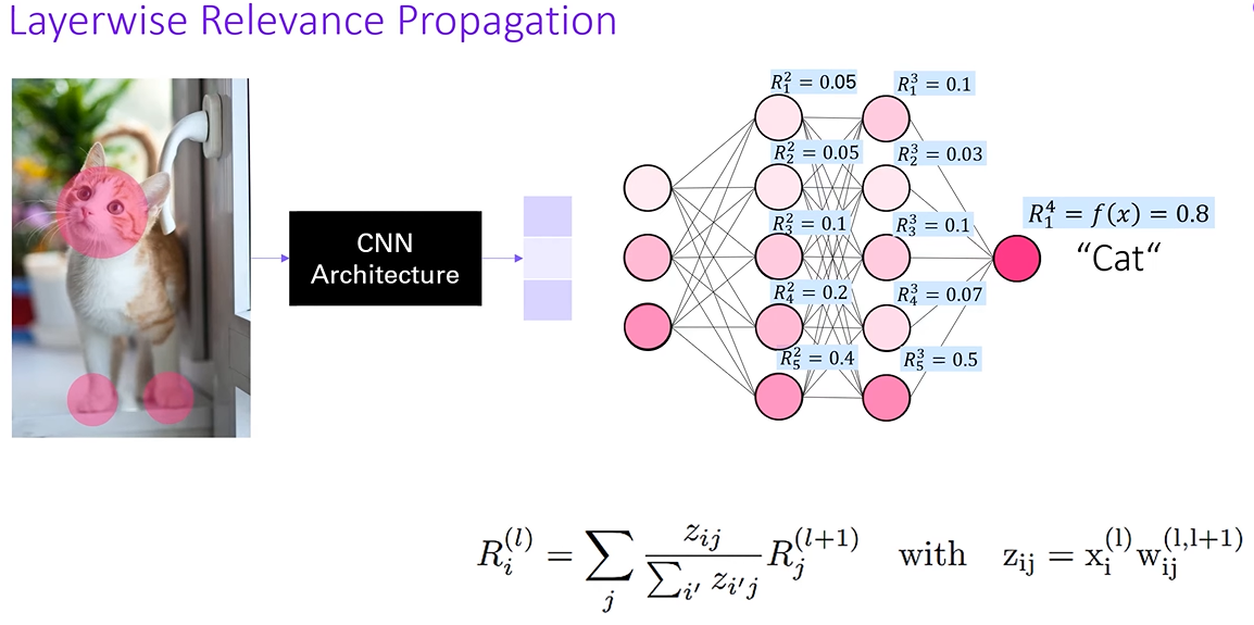 【论文阅读—可解释性AI(Transformer篇)】Transformer Interpretability Beyond Attention Visualization
