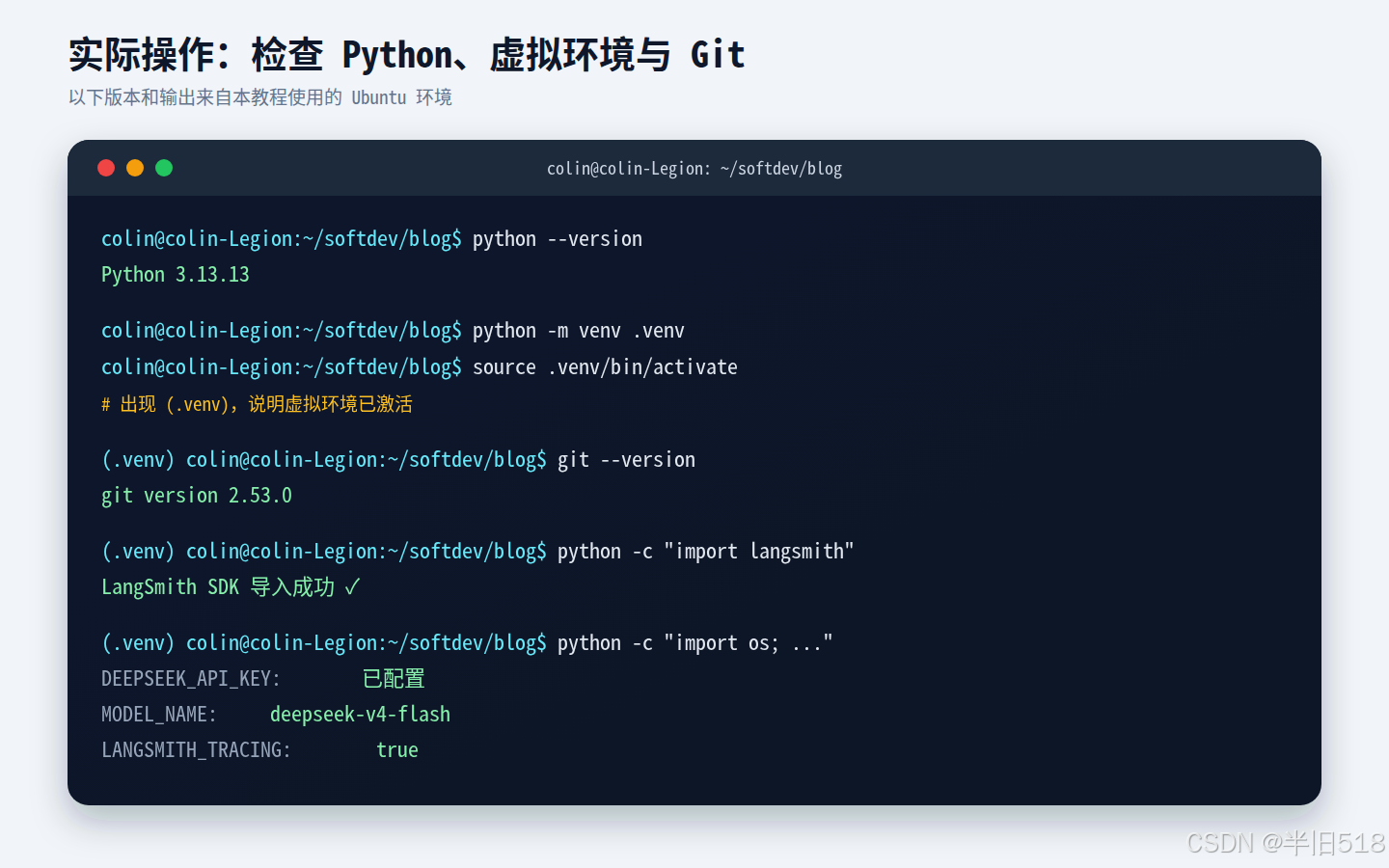 实际操作：检查 Python、虚拟环境与 Git