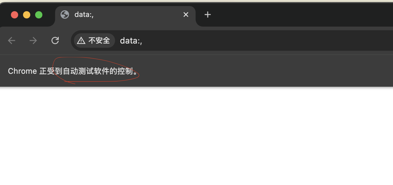 error sending request for url (https://googlechromelabs.github.io ...