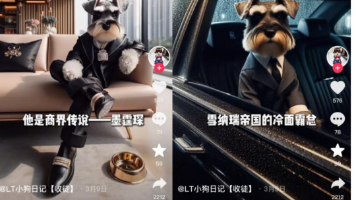 文章图片