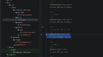 【10】SpringBoot4 MyBatisPlus 枚举类型（enum）-CSDN博客