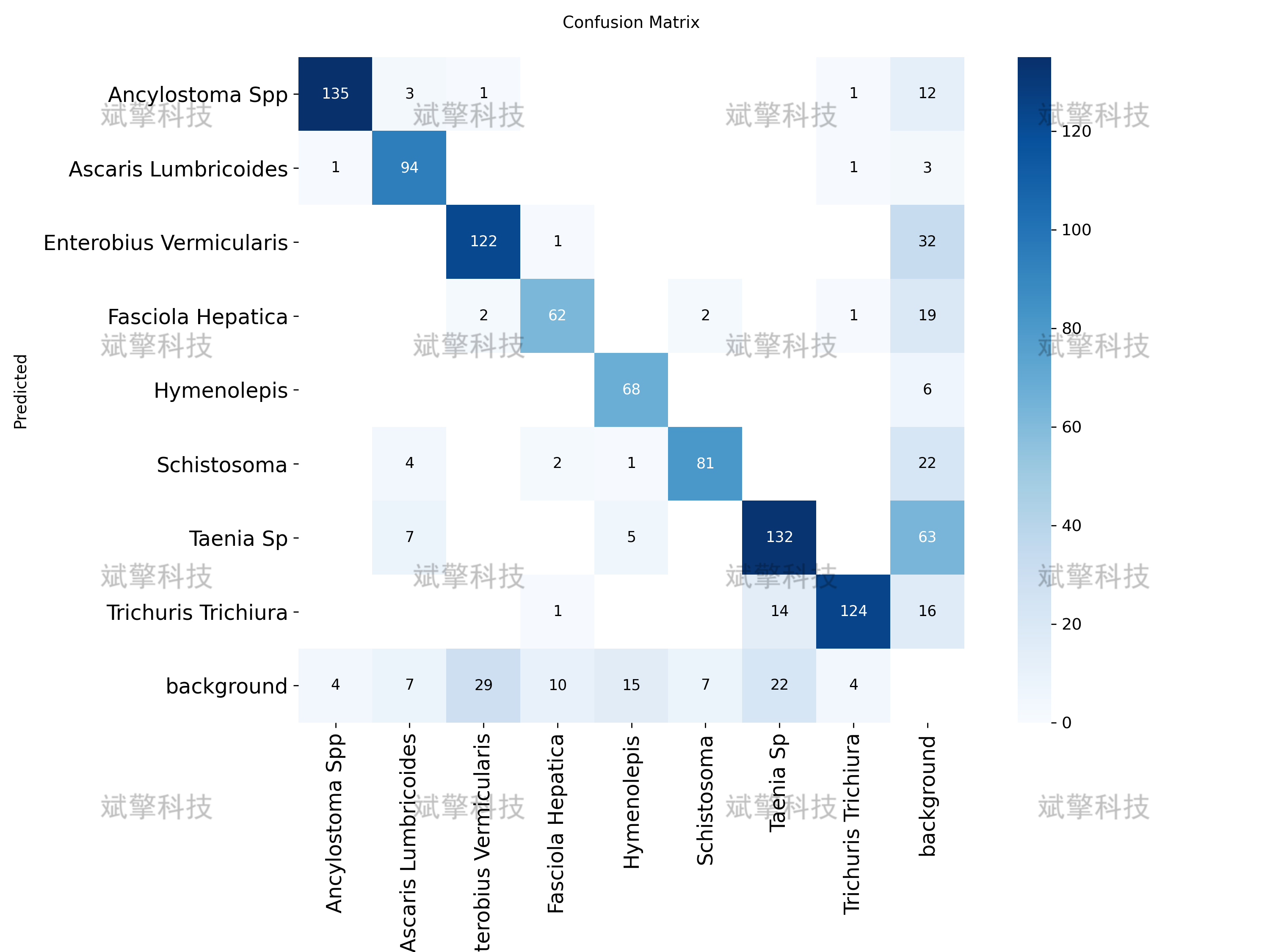 sp管在医学上什么管面向医学检验的YOLO26寄生虫检测系统：钩虫／蛔虫／血吸虫等8种显微图像识别（项目源码+数据集+模型权重+UI界面+python+深度学习+远程环境部署）_https://www.jmylbn.com_新闻资讯_第13张
