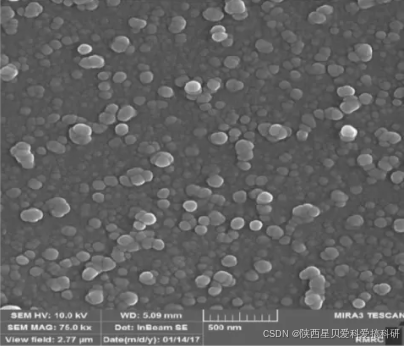 氧化锌ZnO纳米颗粒100nm|ZnNOPs|ZnO胶体|氧化锌纳米晶体的胶体-CSDN博客