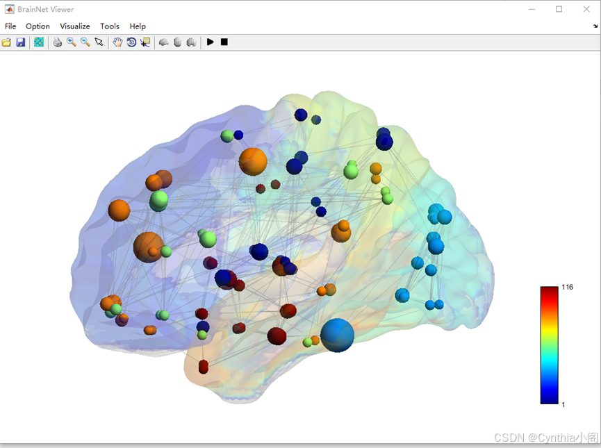 BrainNet Viewer中选择不同模板的surface file所呈现的不同效果对比_brainnet viewer surface文件 ...