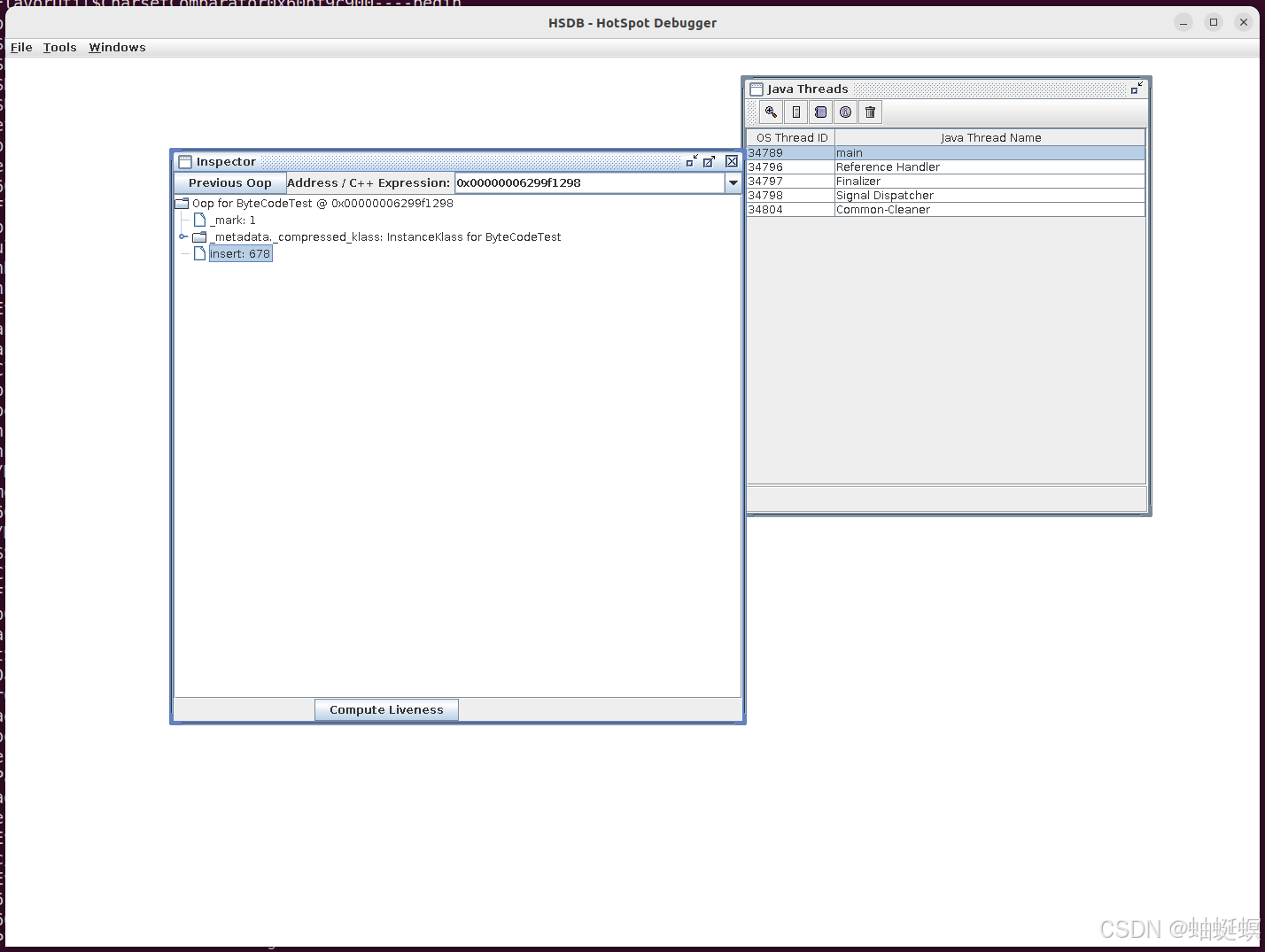 openjdk17 hotspot new对象内部字段在jhsdb展示CSDN博客