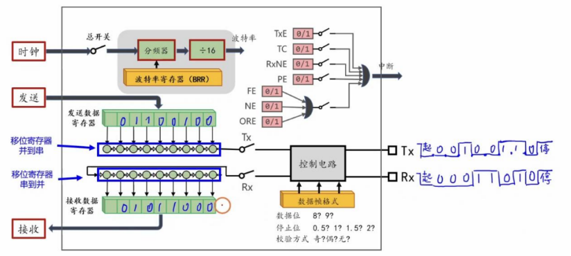 【STM32】江科大STM32小白养成记
