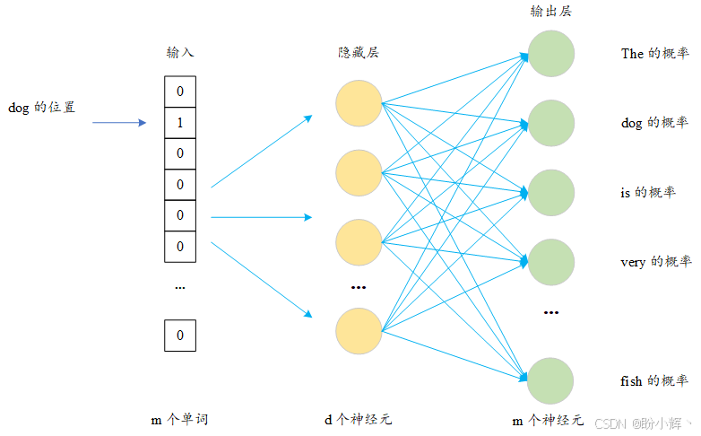 模型结构