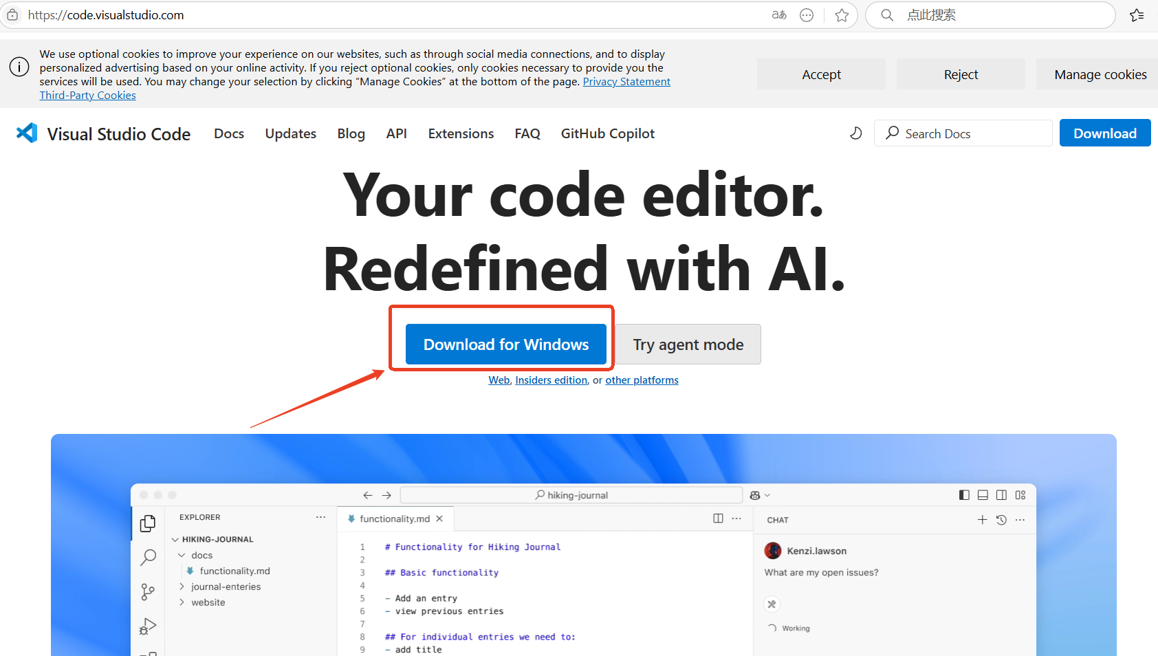 alt text