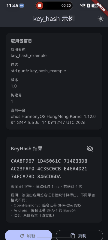 Example 启动授权