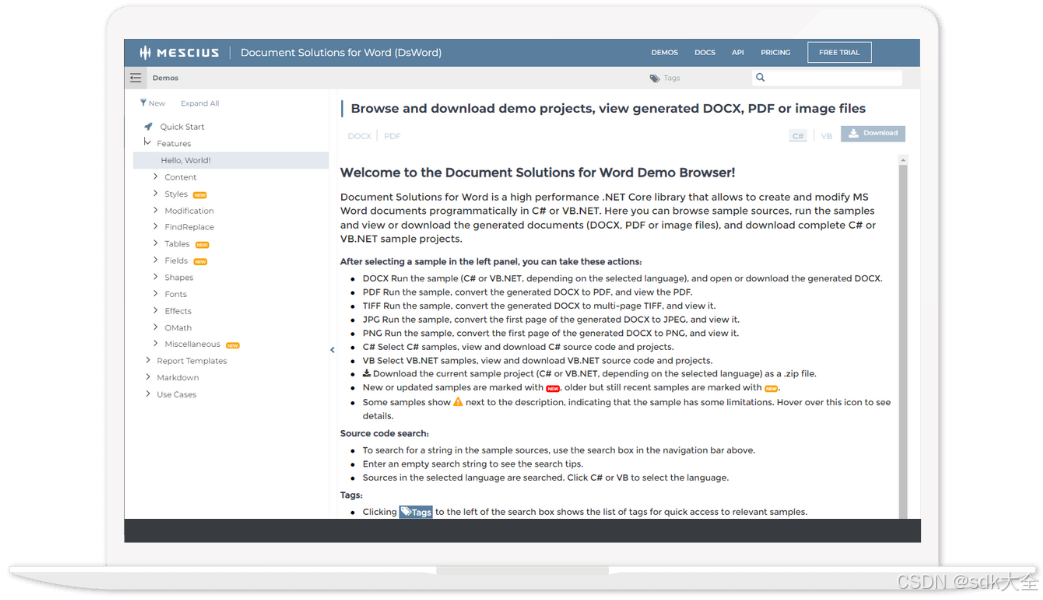 Word 文档解决方案 (DsWord,以前称为 GcWord) 8.1.1-CSDN博客
