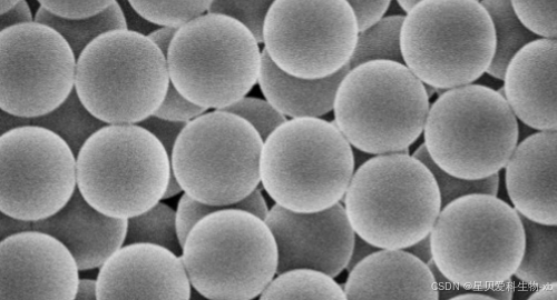 SH@SiO2，单分散巯基化SiO2微球：是一种表面带有巯基官能团的二氧化硅微球_二氧化硅巯基化 静电作用-CSDN博客