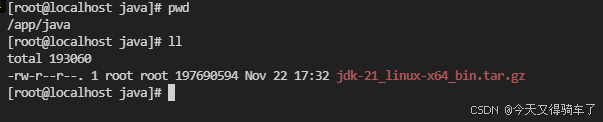 二、Rocky Linux 9.x安装Oracle JDK21_rocky linux 安装jdk21-CSDN博客
