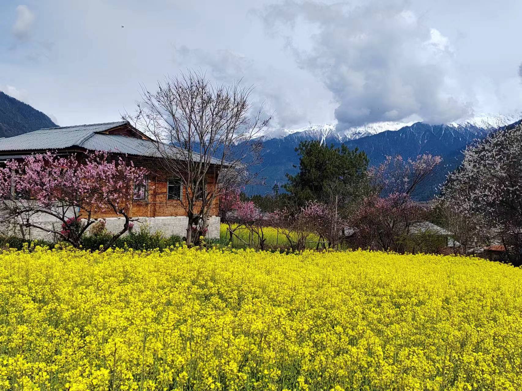 UTC、GMT和CST的区别_cst utc-CSDN博客