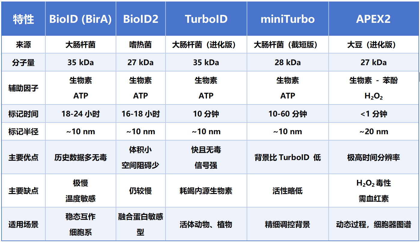 Split Bioid BioID/TurboID/APEX2邻近标记PL-MS:从实验室到应用场的全景图鉴-CSDN博客