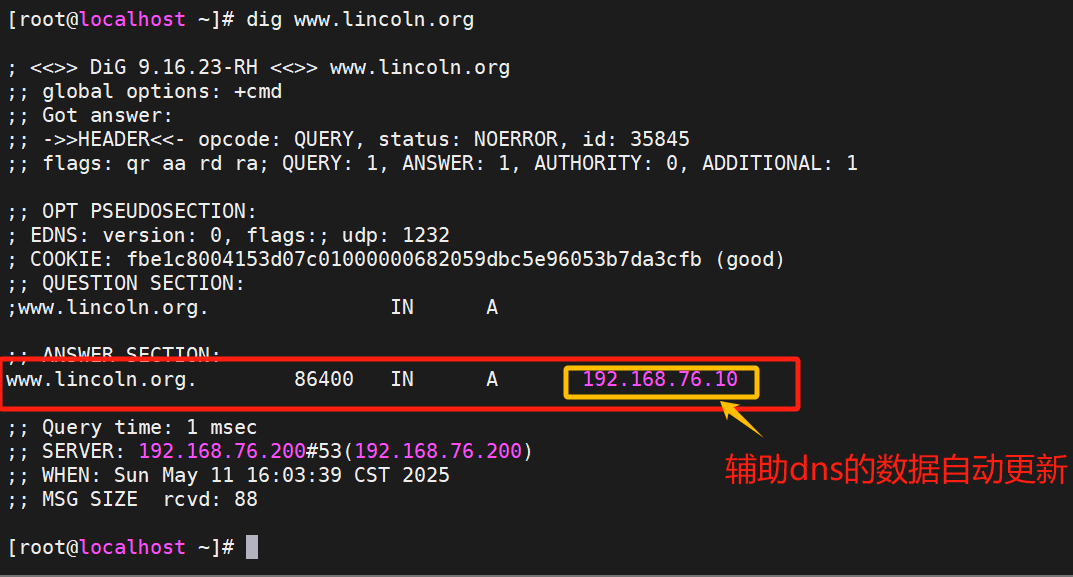 【Linux笔记】DNS域名解析服务器（dns的安装、named.conf、resolv.conf、named.rfc1912.zones、slave辅助dns）_named 域名服务安装