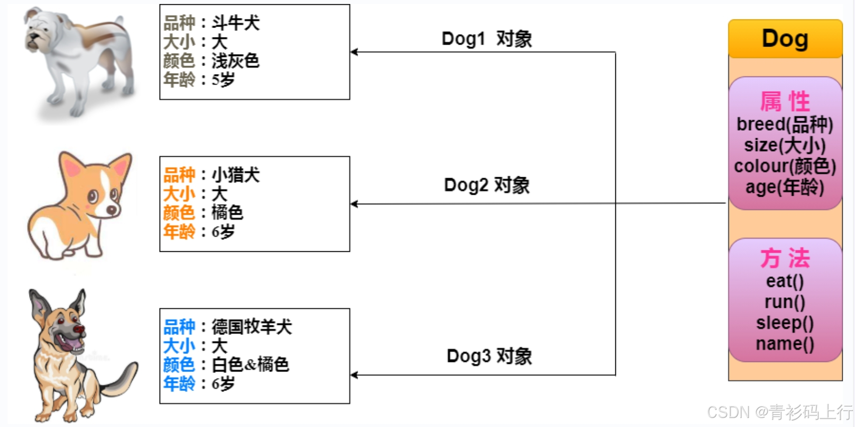 在這里插入圖片描述