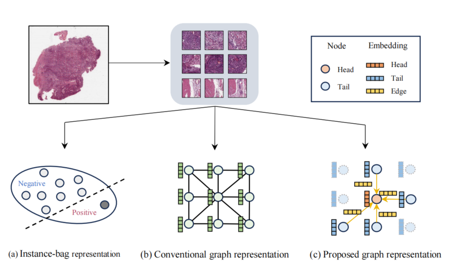 图1. 三种不同框架的示意图：实例包表示法、传统无向图表示法以及提出的动态图表示法。
