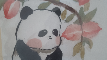 文章图片