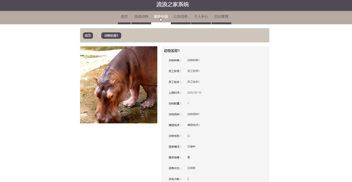 Springboot流浪之家系统20v8z（程序+源码+数据库+调试部署+开发环境）带论文文档1万字以上，文末可获取，系统界面在最后面。-CSDN博客