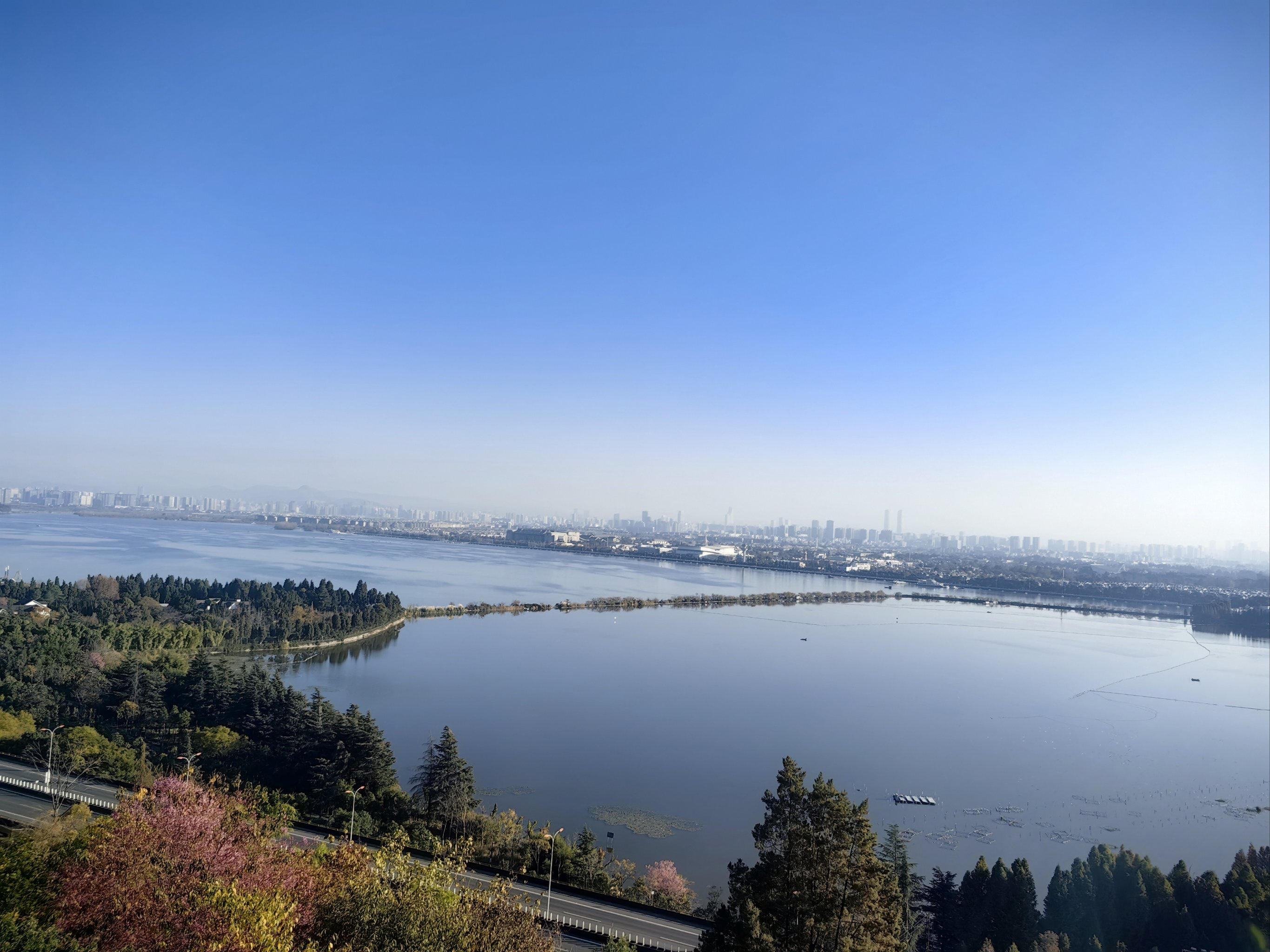 在这里插入图片描述