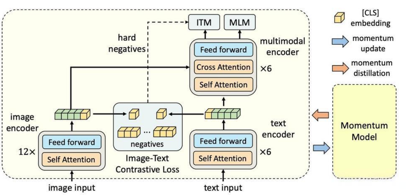 Illustration of ALBEF. It consists of an image encoder, a text encoder, and a multimodal encoder. We propose an image-text contrastive loss to align the unimodal representations of an image-text pair before fusion. An image-text matching loss (using in-batch hard negatives mined through contrastive similarity) and a masked-language-modeling loss are applied to learn multimodal interactions between image and text. In order to improve learning with noisy data, we generate pseudo-targets using the momentum model (a moving-average version of the base model) as additional supervision during training.