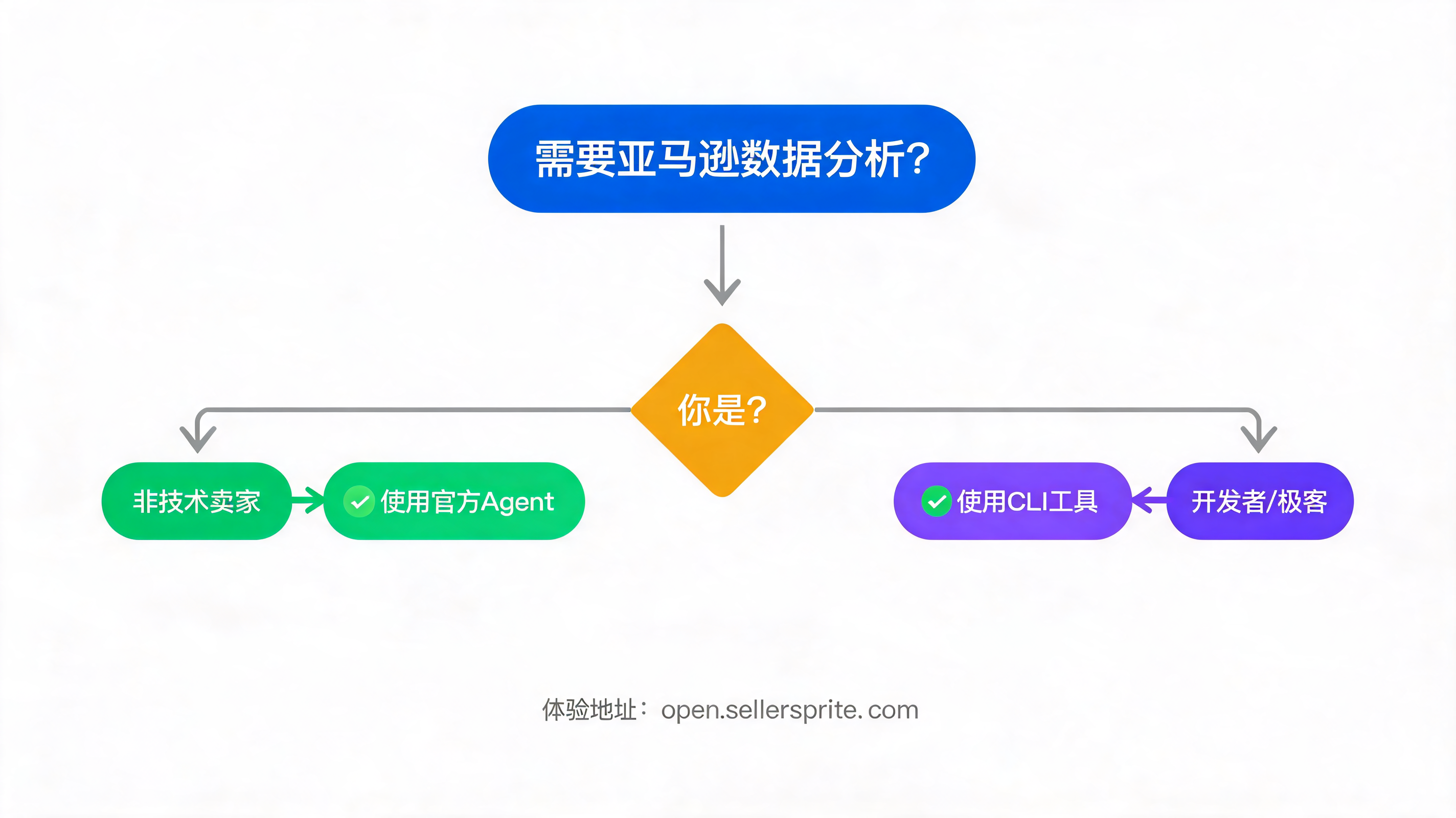 图5：是否适合使用SellerSprite Agent与CLI的决策流程