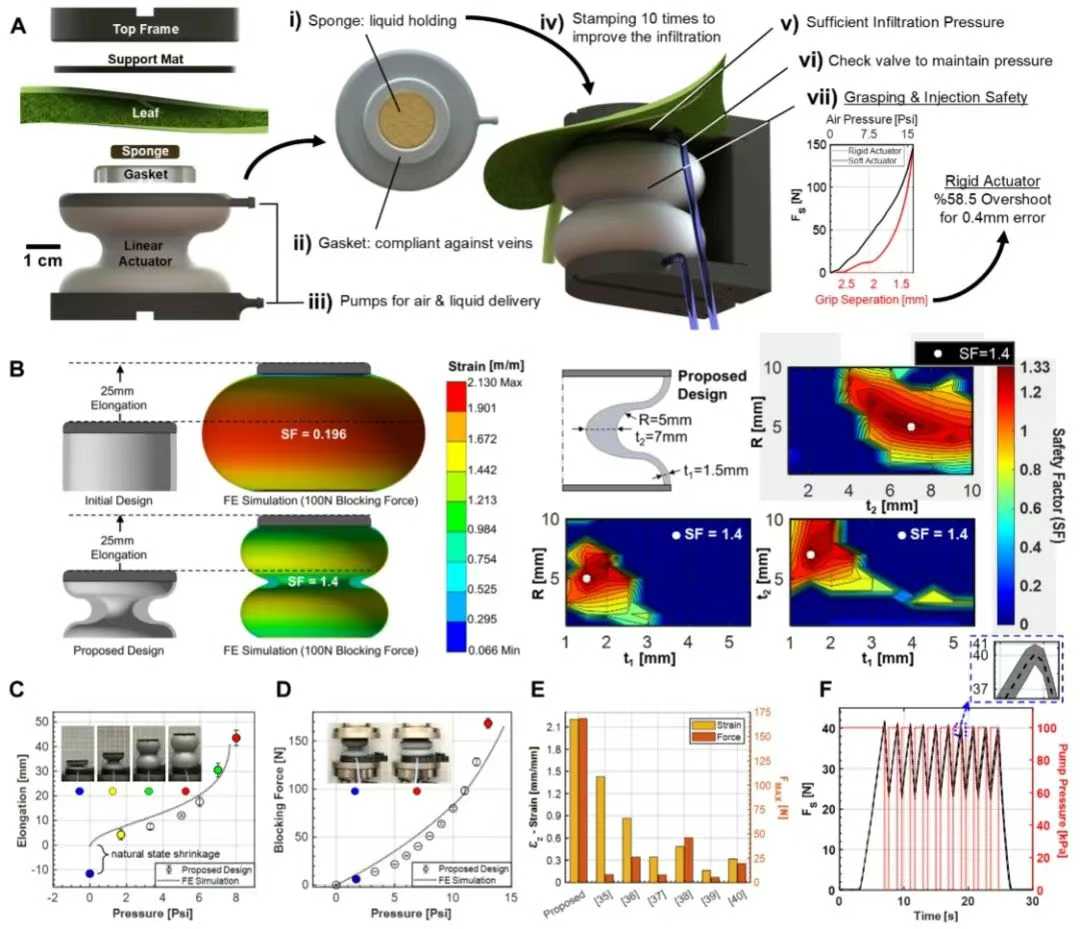 生物夹怎么用Science Robotics：利用软机器人技术对多种植物进行原位叶面扩增，用于光学表型分析和生物工程_https://www.jmylbn.com_新闻资讯_第2张
