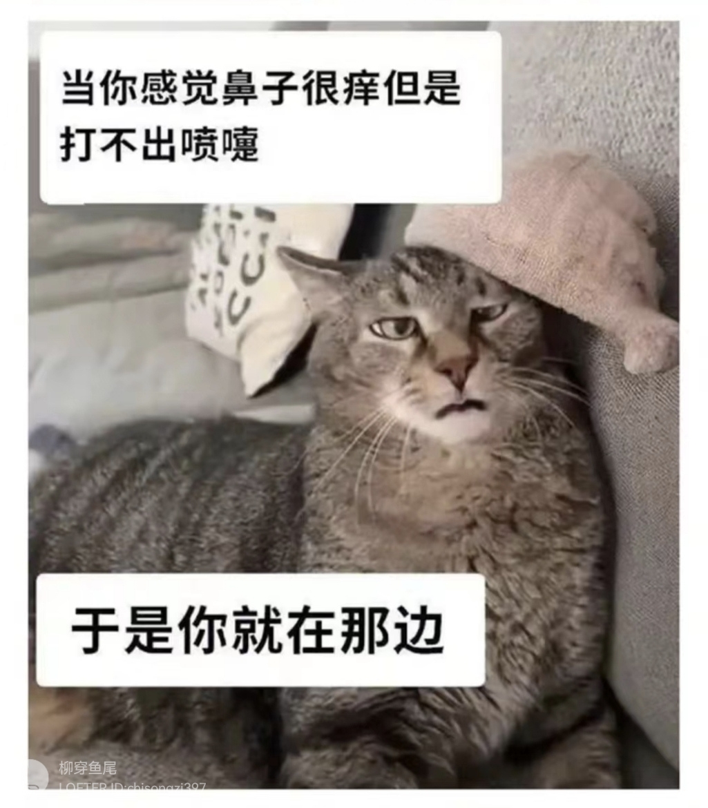 Python Imports List Python贪心算法实现搜索推荐-CSDN博客