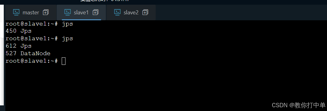 slave 进程验证