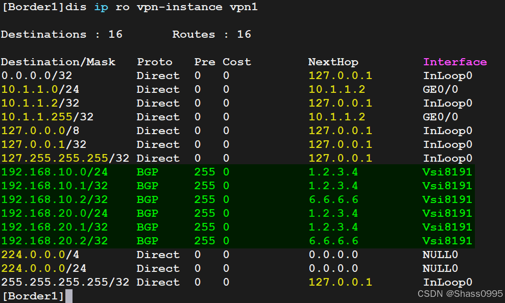 Border1_IPv4_VPN-Instance_VPN1_Routes