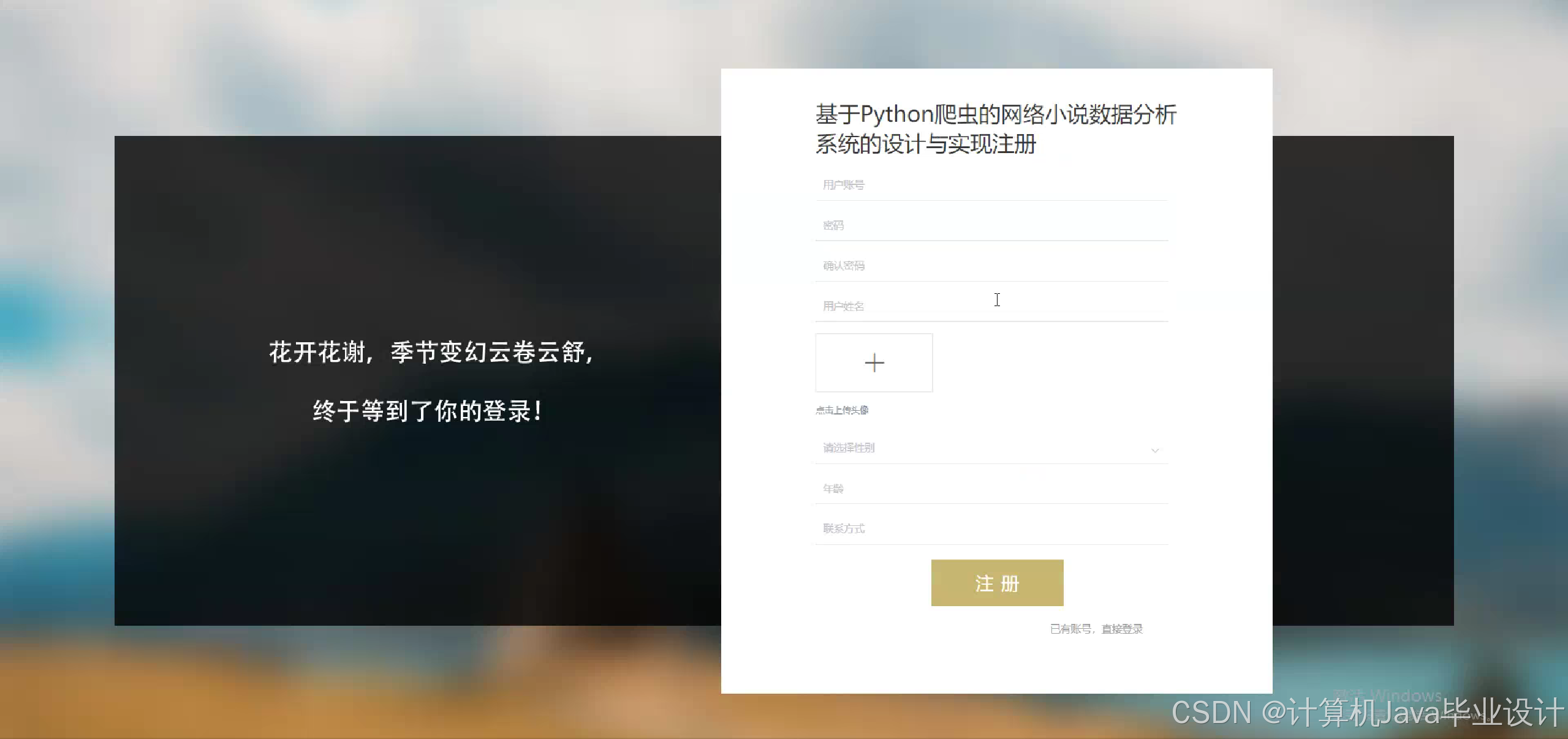 在这里插入图片描述