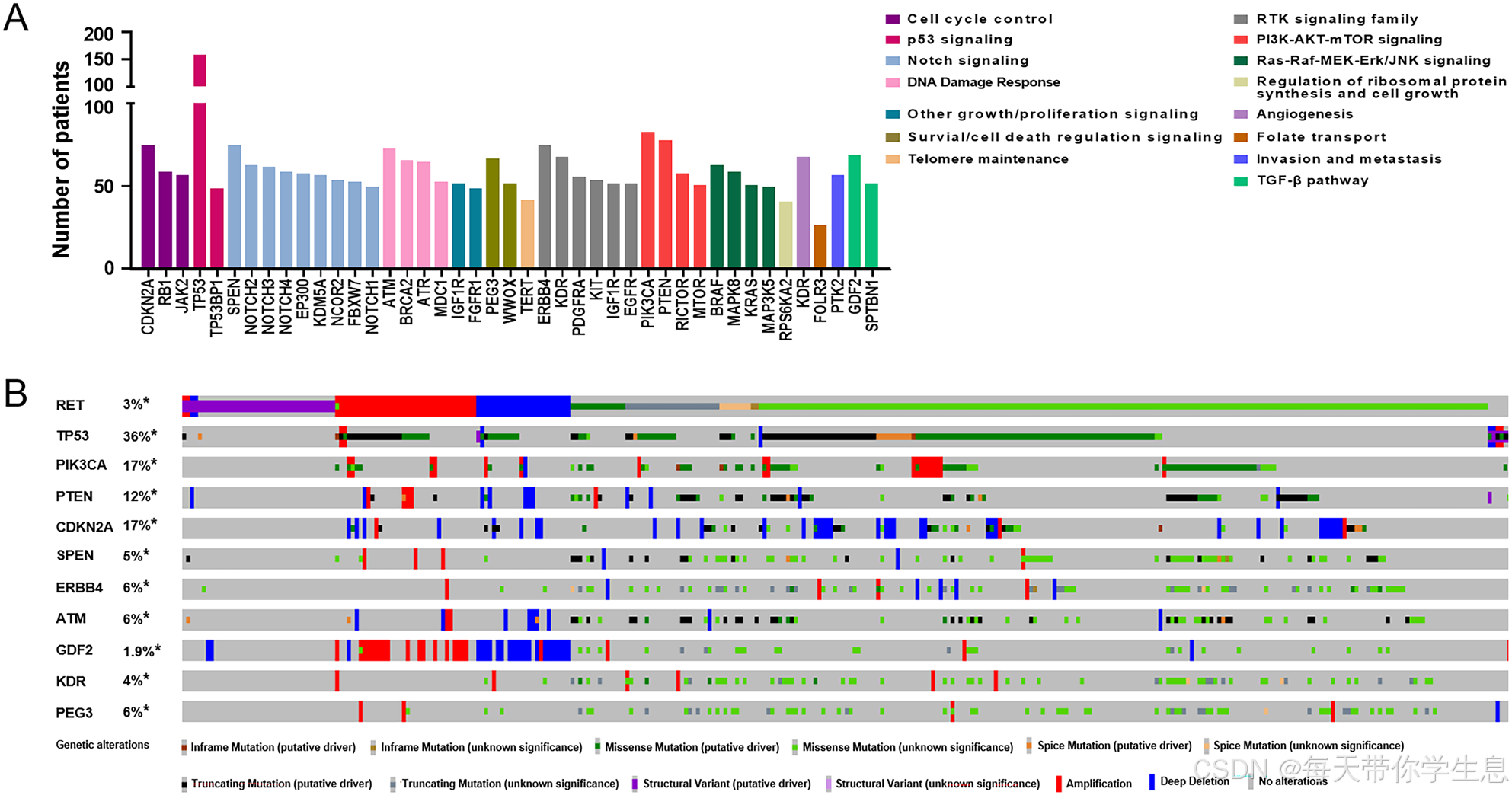 带你快速了解新型RET靶向治疗-CSDN博客
