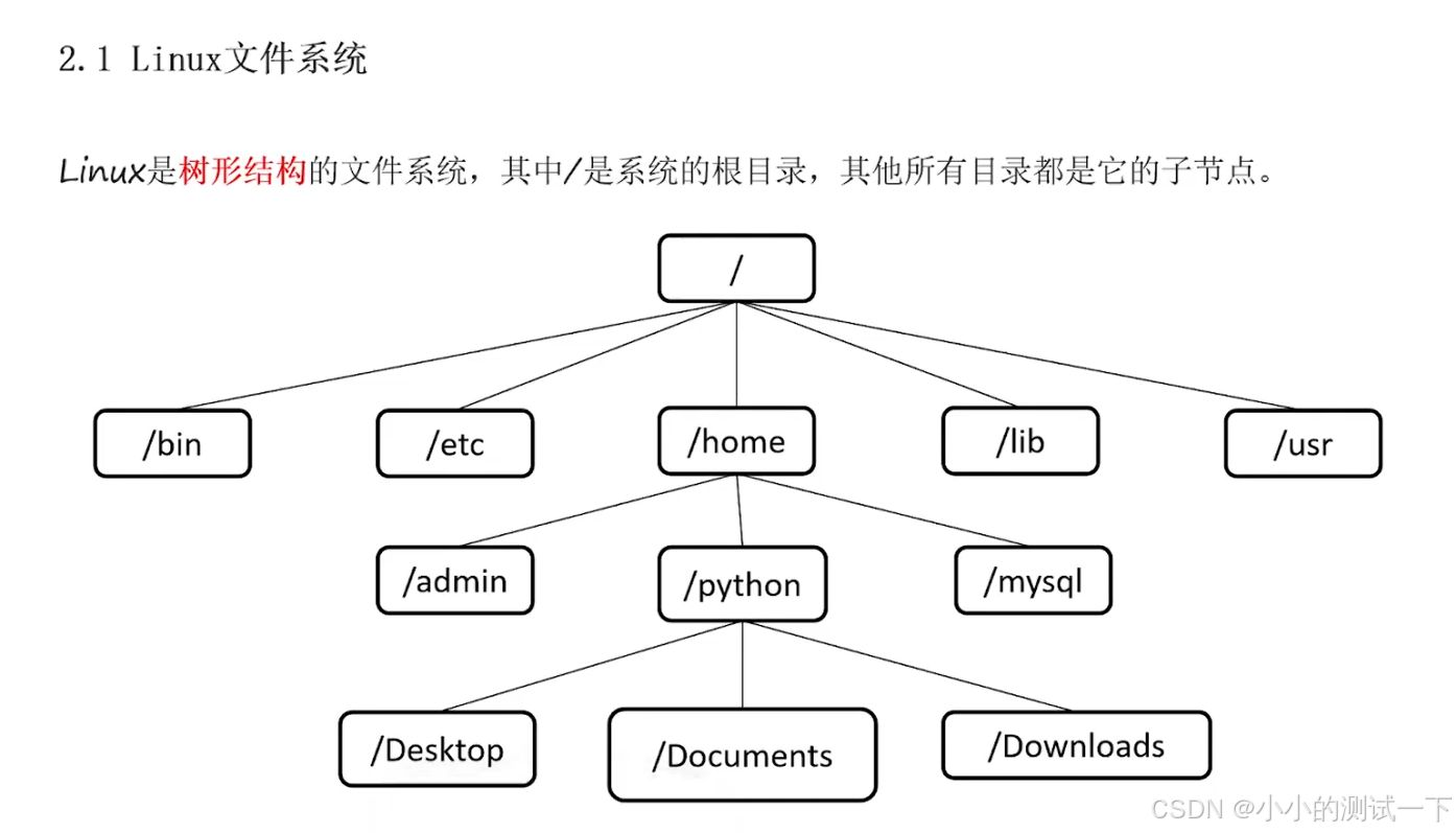 Linux文件系统和目录_linux根文件系统目录-CSDN博客
