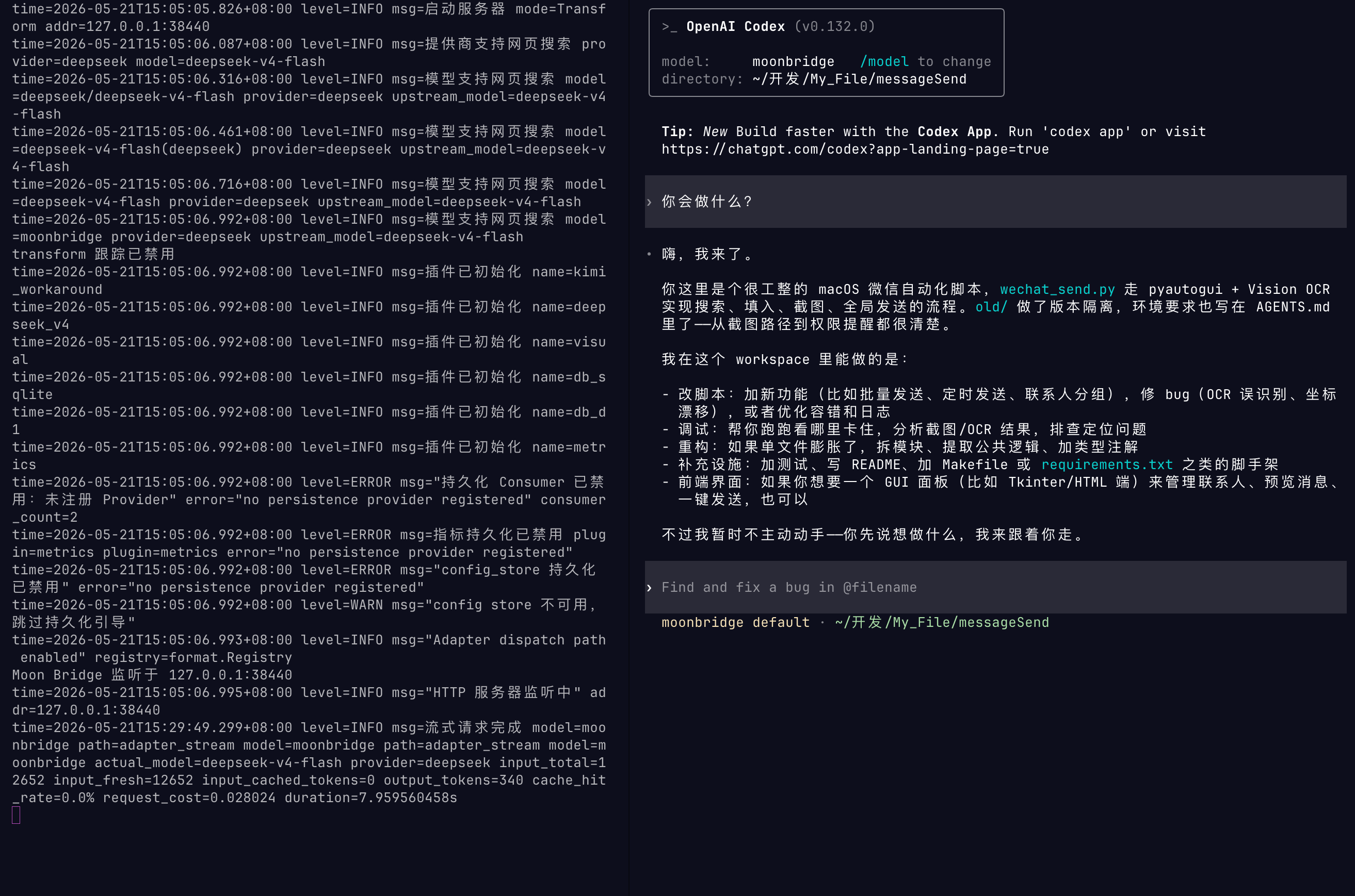 左侧是后台启动的程序，右侧是codex