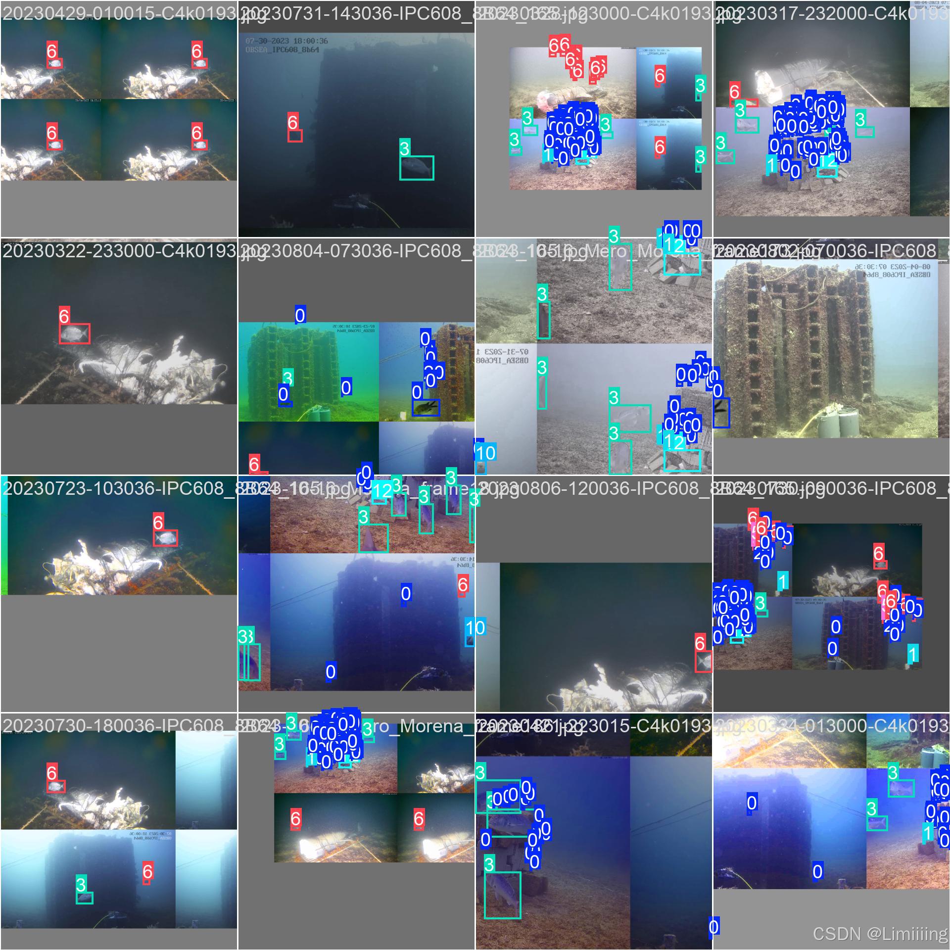 OBSEA 数据集介绍、下载及YOLO/VOC/COCO训练格式转换-CSDN博客