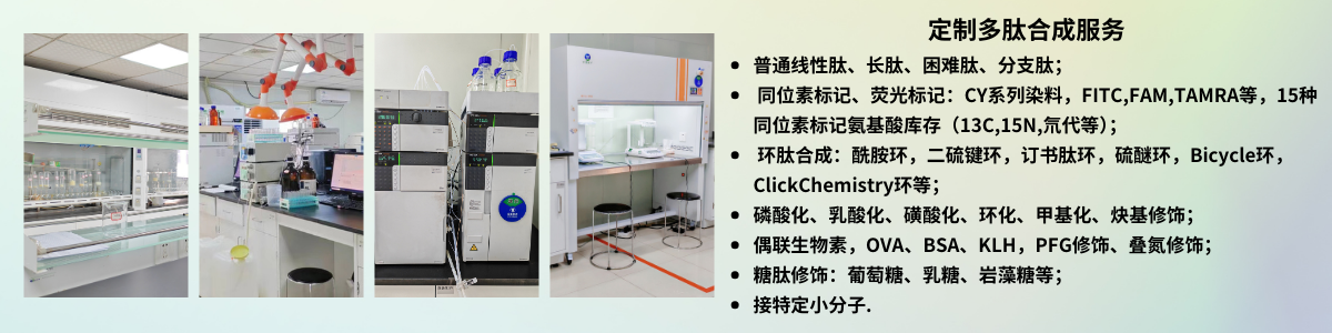 DSPE-PEG2000-Mal和DSPE-PEG2000-NHS偶联多肽的对比