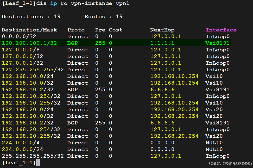 Leaf_1-1_ipv4_vpn-instance_vpn1_routes