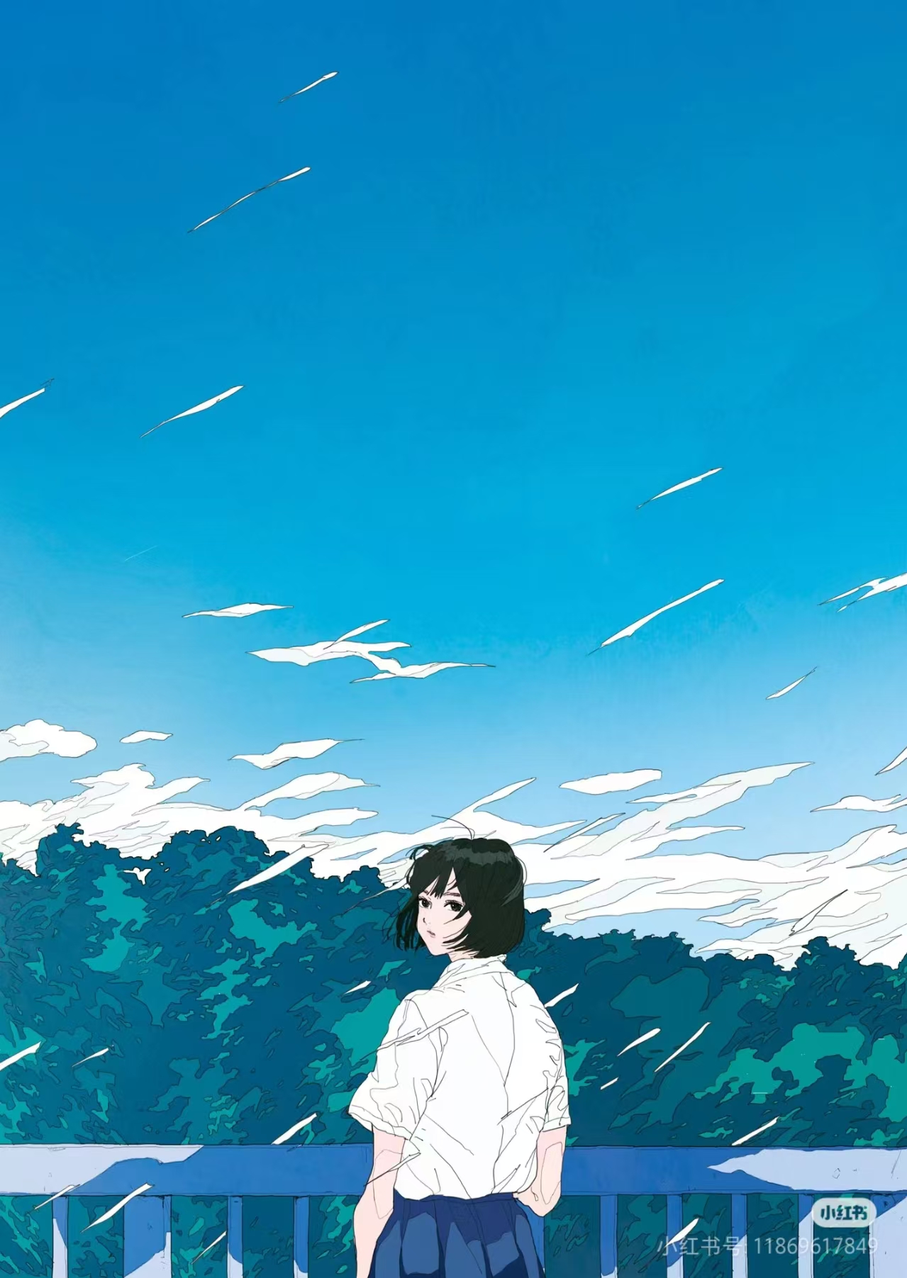 文章图片