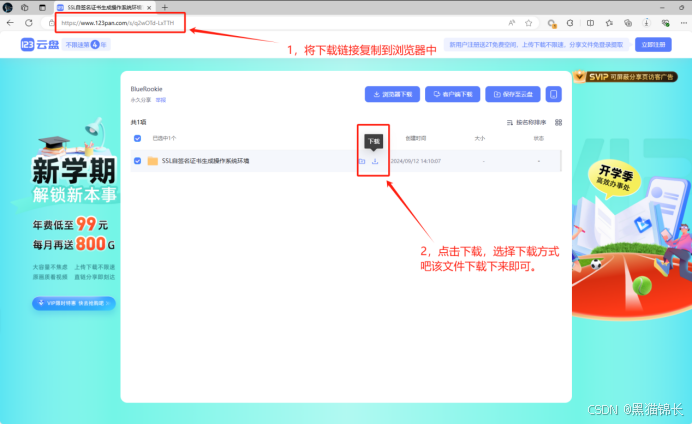 使用弱哈希算法签名的SSL证书(CVE-2004-2761)修复方案【生成SSL自签名证书】